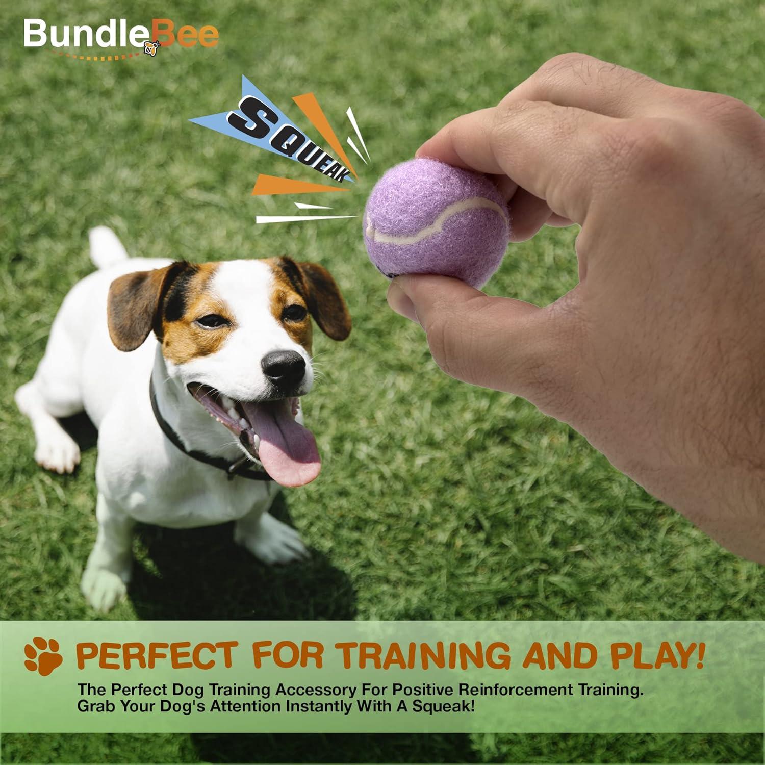 Pelotas de Tenis Mini Squeaky BundleBee - 6 Unidades 3.81 cm