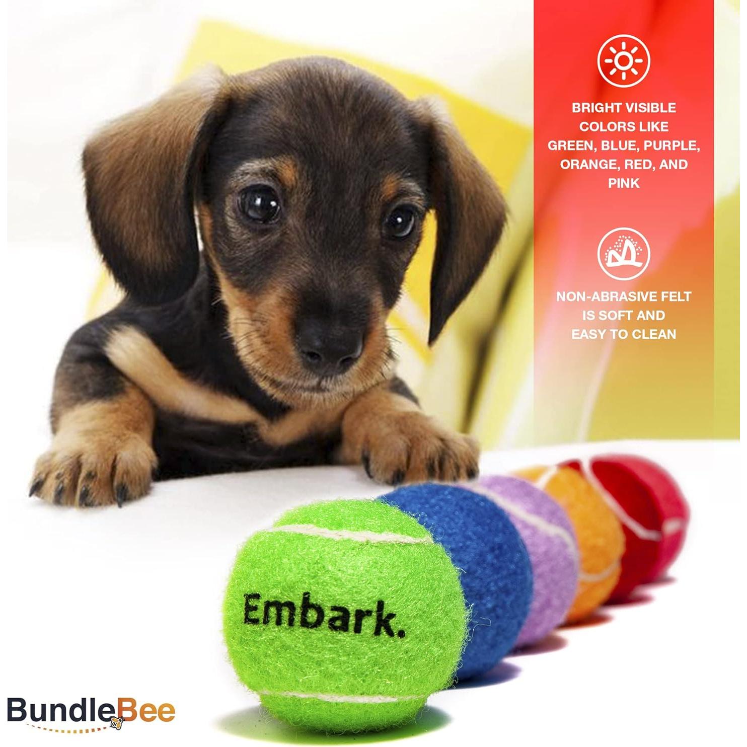 Pelotas de Tenis Mini Squeaky BundleBee - 6 Unidades 3.81 cm