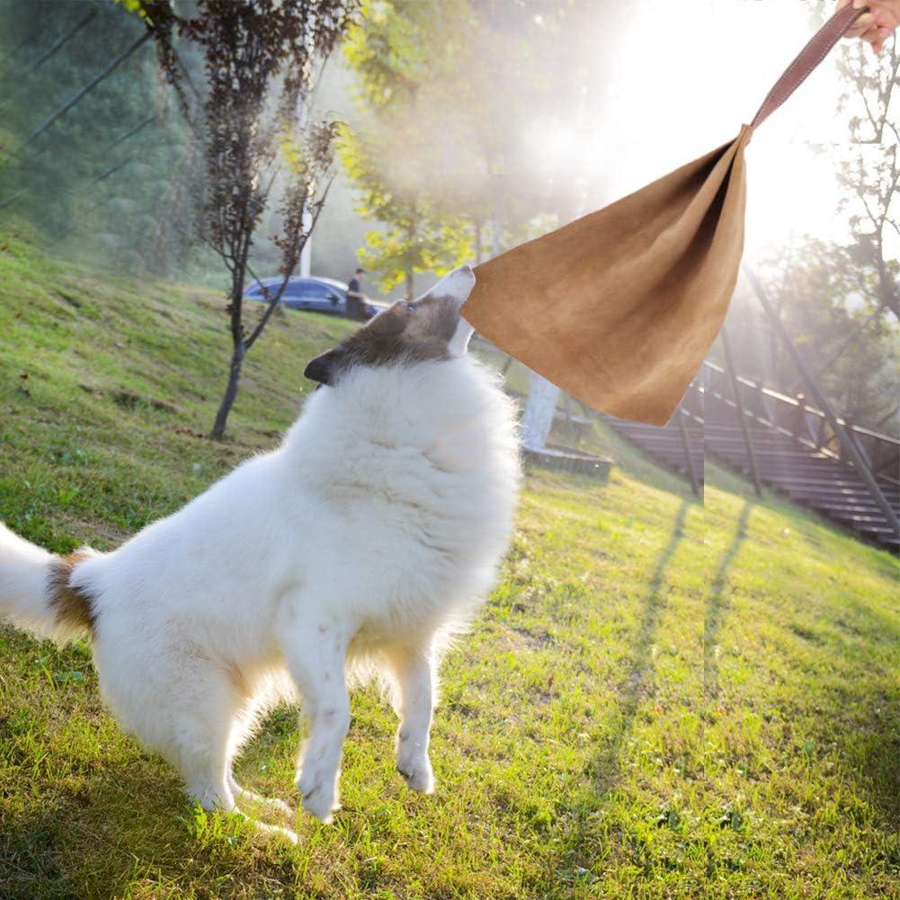 Juguete de tira para perros Lifeunion de cuero y nylon 40 cm