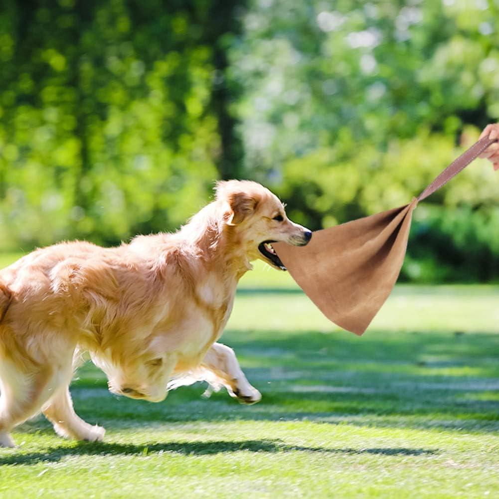 Juguete de tira para perros Lifeunion de cuero y nylon 40 cm