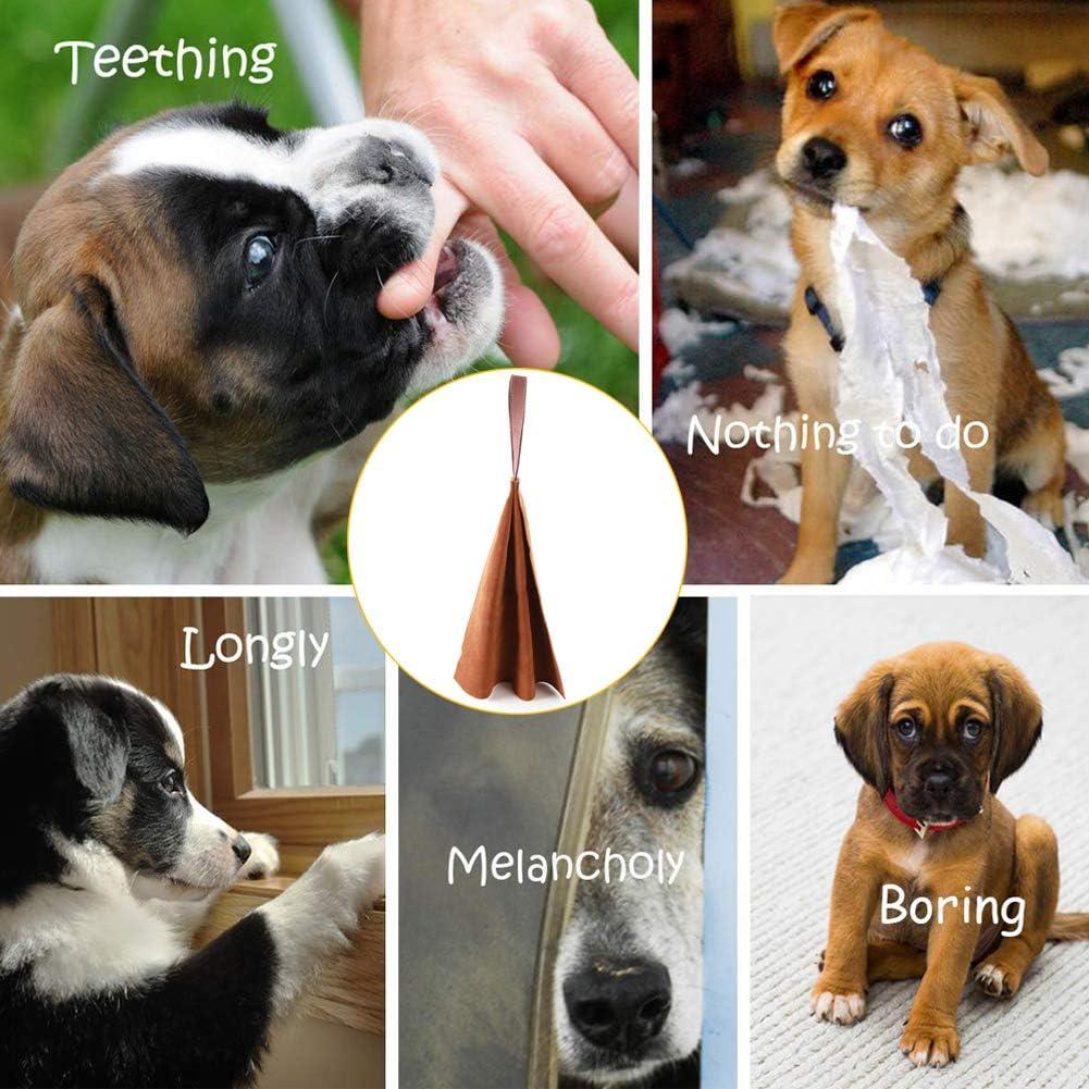 Juguete de tira para perros Lifeunion de cuero y nylon 40 cm