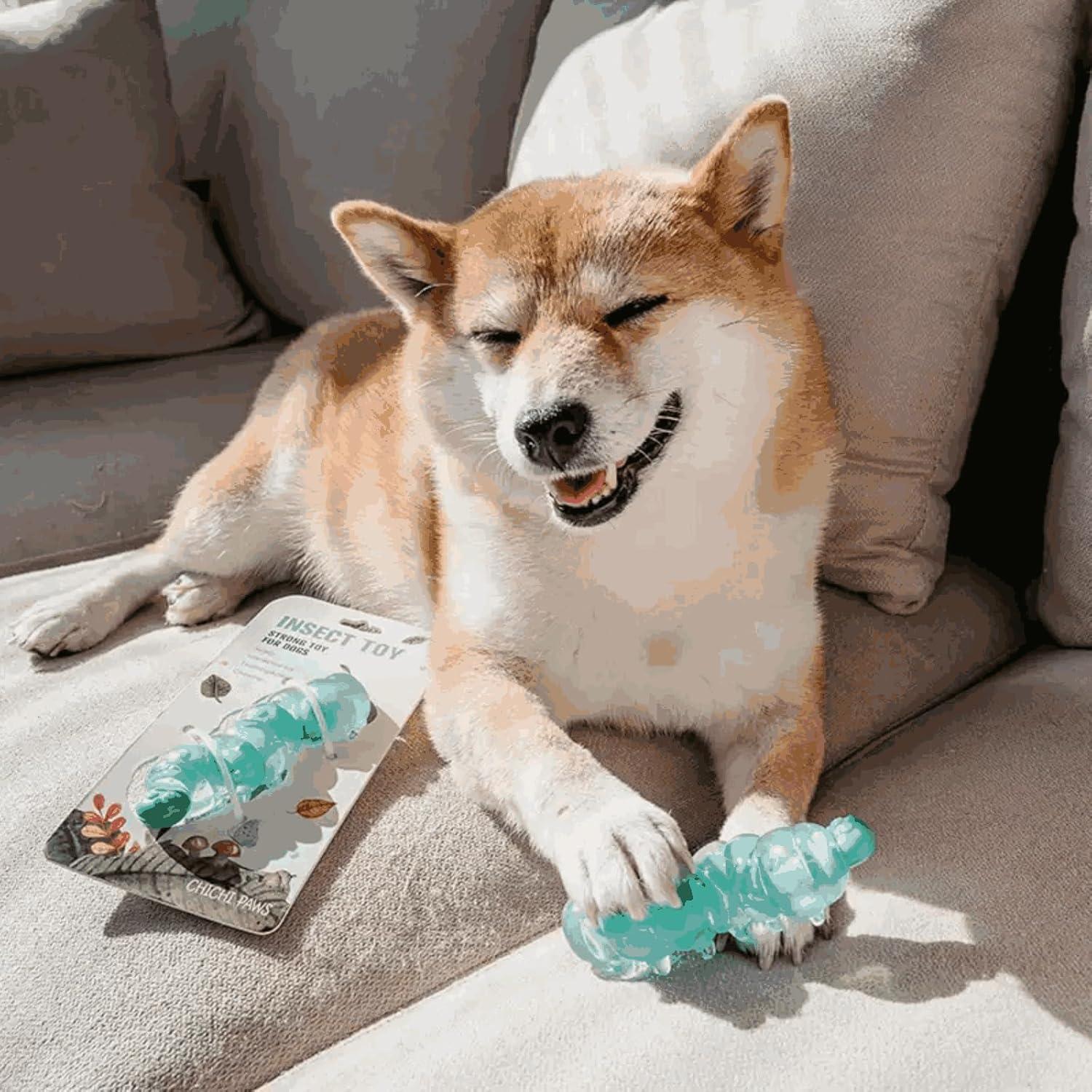 Juguete para Masticar Cachorros CHICHIPAWS 11cm Goma Nylon