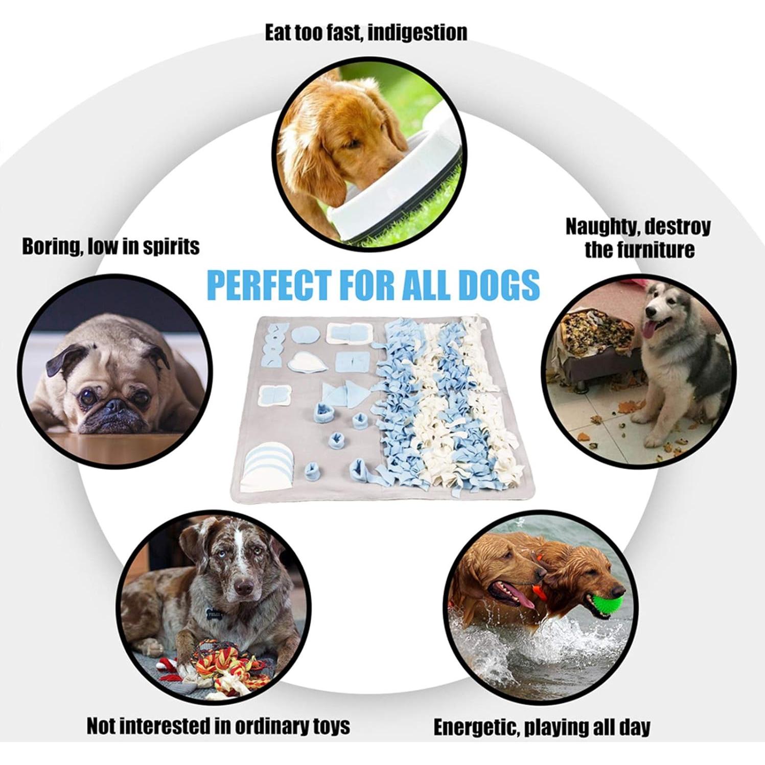 Alfombra de Olfato para Perros Stellaire Chern 100x100 cm