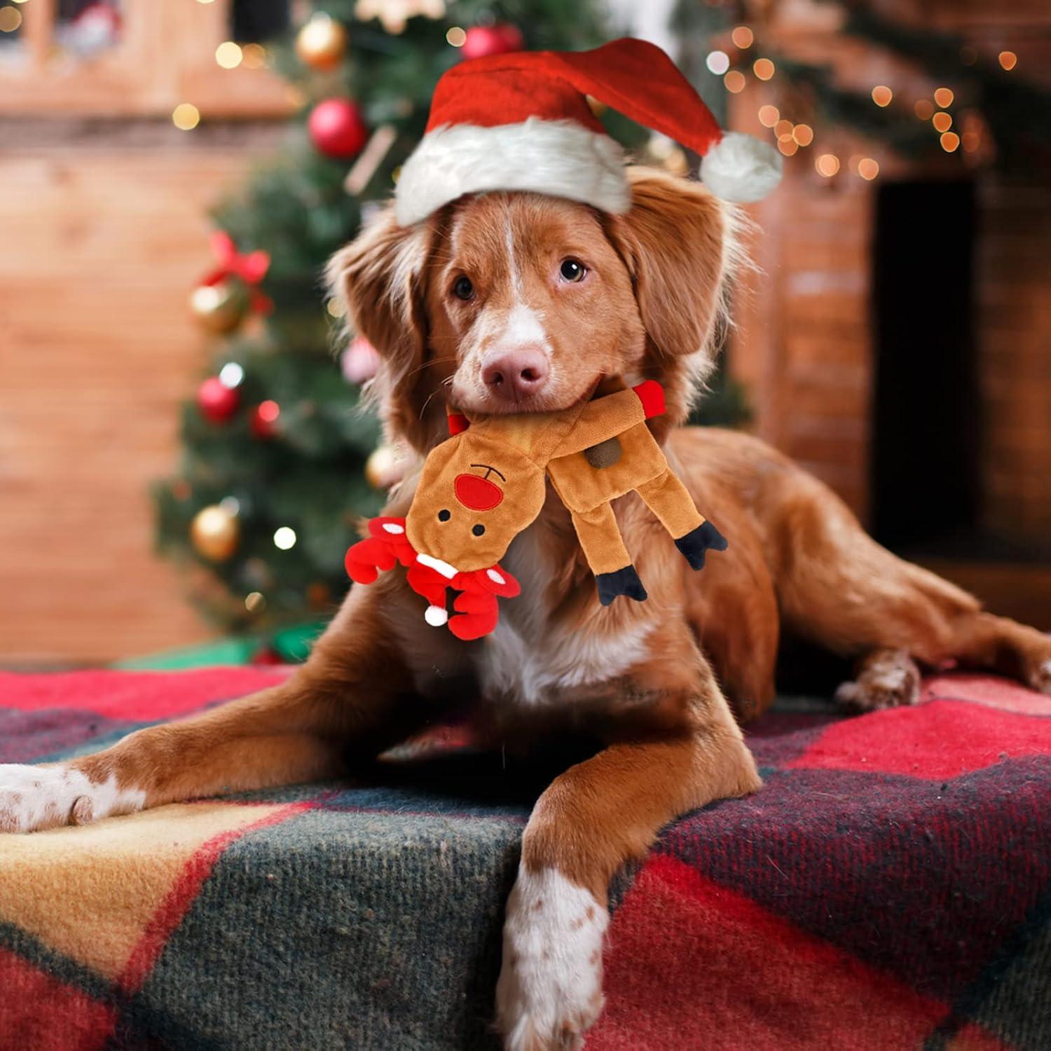 Paquete de 3 Juguetes Squeaky para Perros Yoochee - Reno, Santa y Jengibre