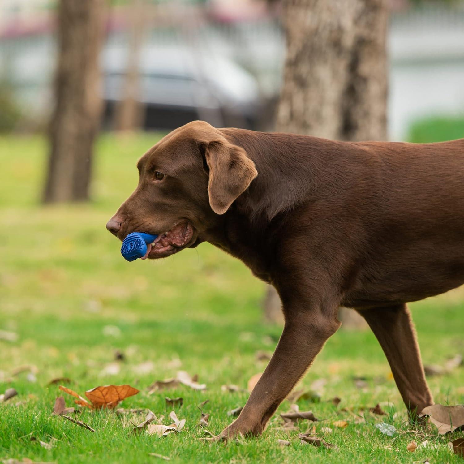 Hueso Dental EZ Limpio Arm & Hammer para Perros Pequeños 11.4cm