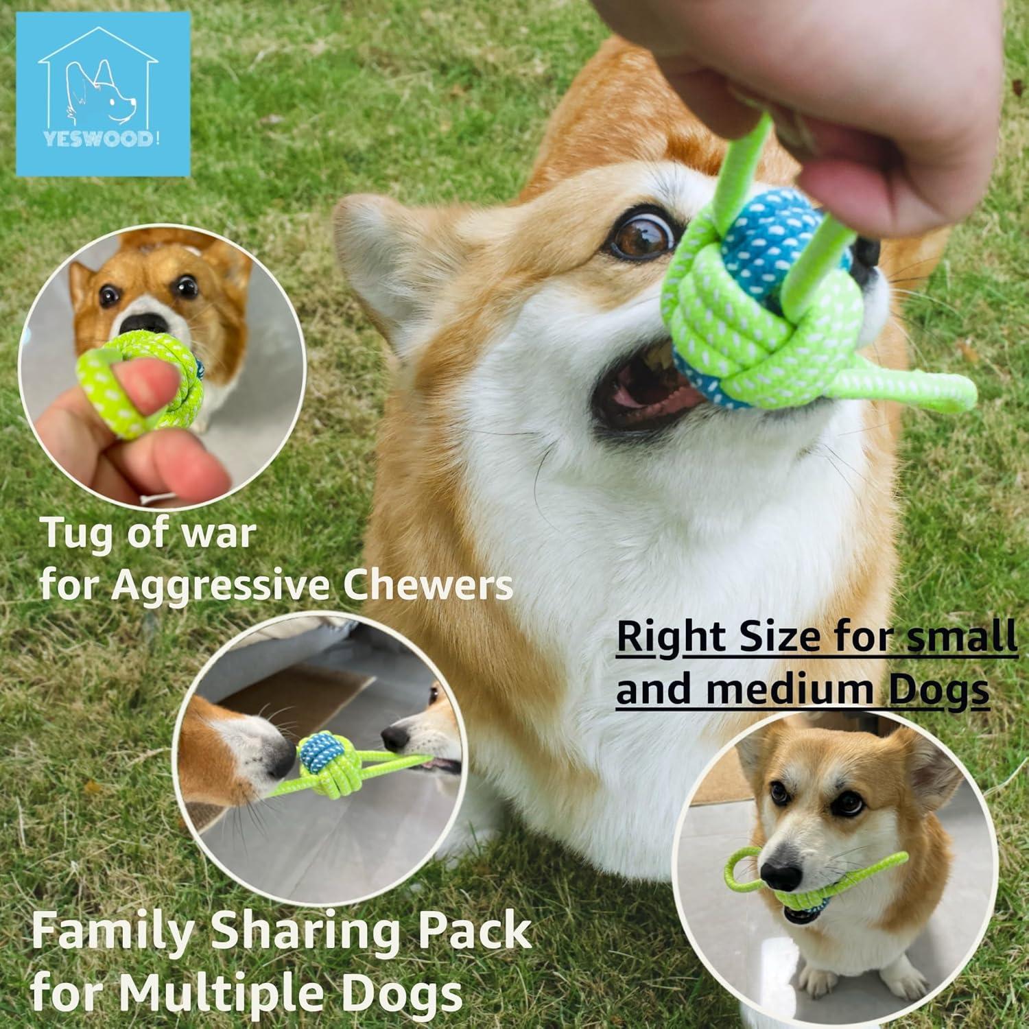 Fetch Juguete Interactivo para Perros Pequeños y Medianos - 4 Pelotas con Cuerda