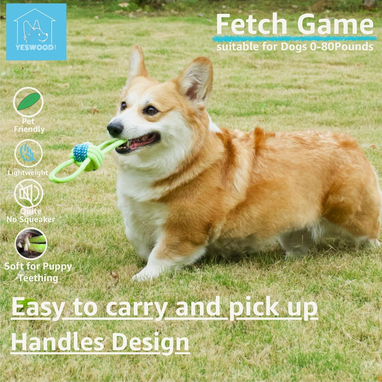Fetch Juguete Interactivo para Perros Pequeños y Medianos - 4 Pelotas con Cuerda