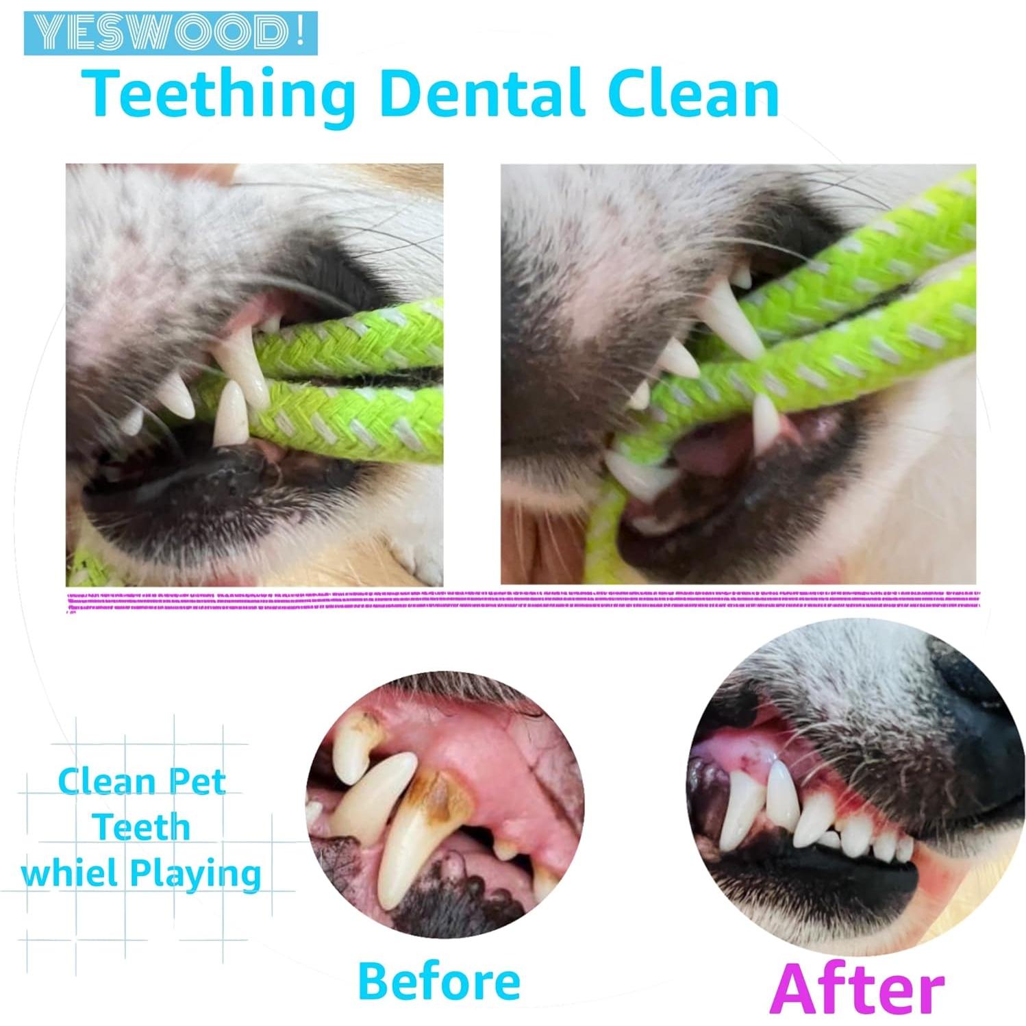 Fetch Juguete Interactivo para Perros Pequeños y Medianos - 4 Pelotas con Cuerda