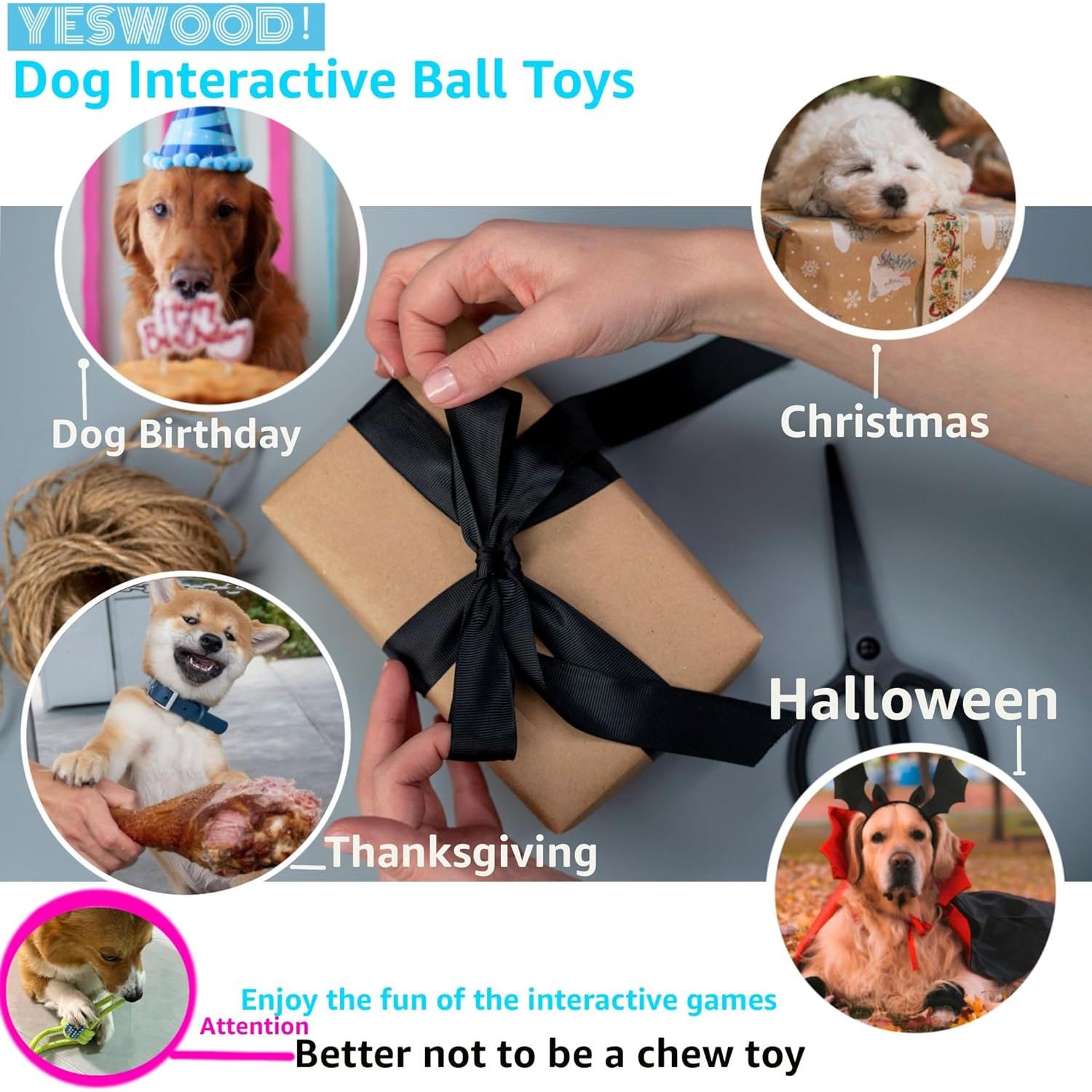 Fetch Juguete Interactivo para Perros Pequeños y Medianos - 4 Pelotas con Cuerda