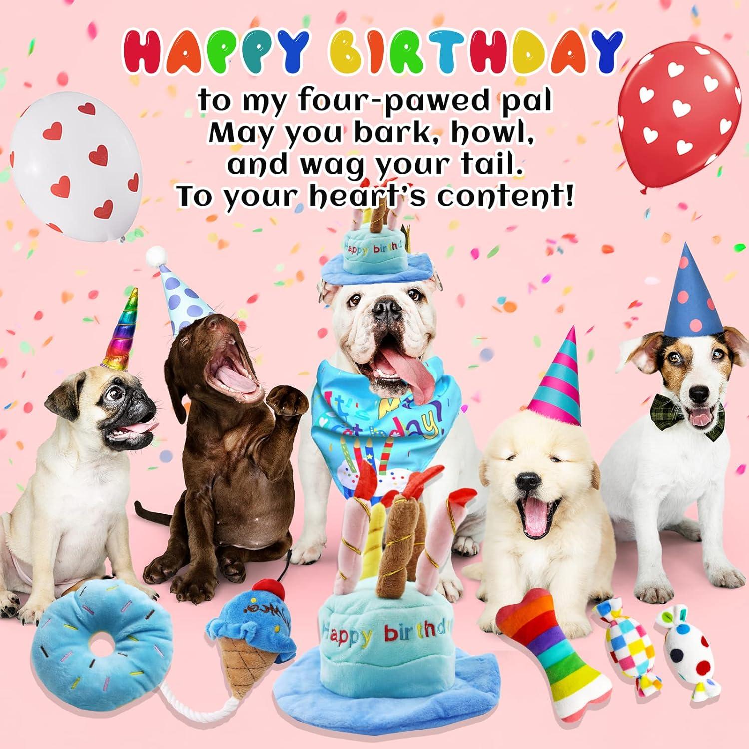 Juego de Juguetes de Cumpleaños para Perros Lilfrd - 9 Piezas