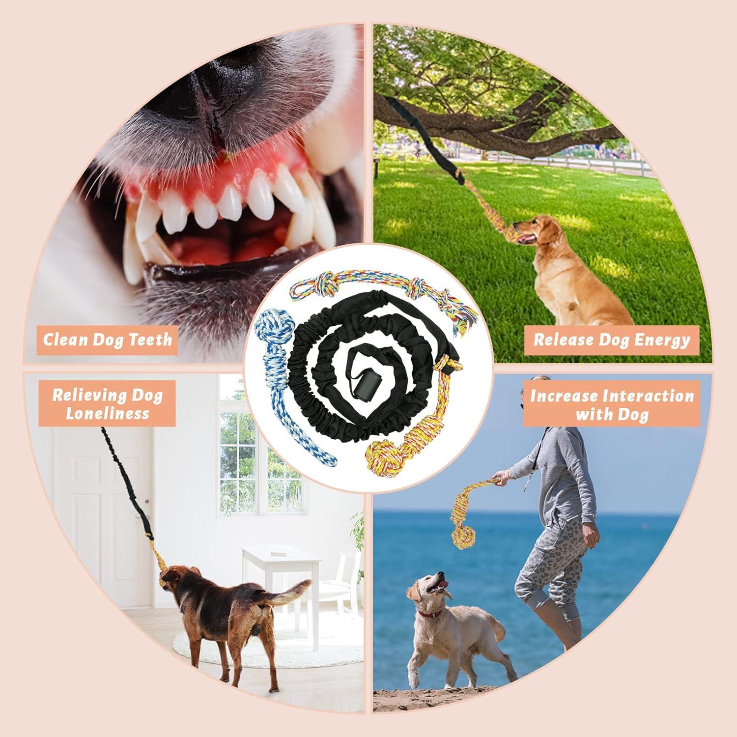 Juguete Interactivo para Perros XinYang Cuerda Bungee 140-260 cm