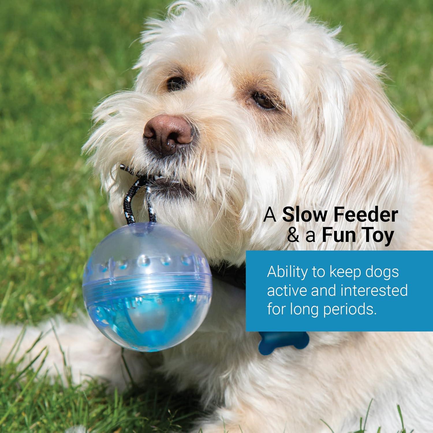 Pelota de Actividad SVD.PET para Perros y Gatos - Verde