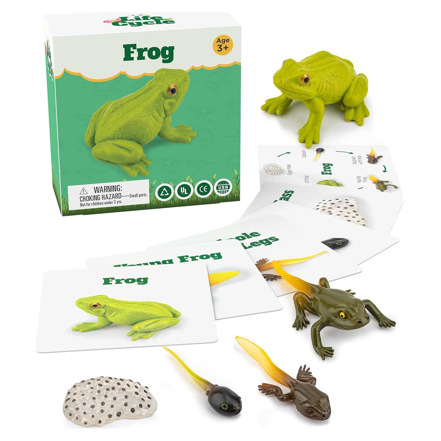 Kit Ciclo de Vida Montessori GLINGLONG - Animales 3D Educativos