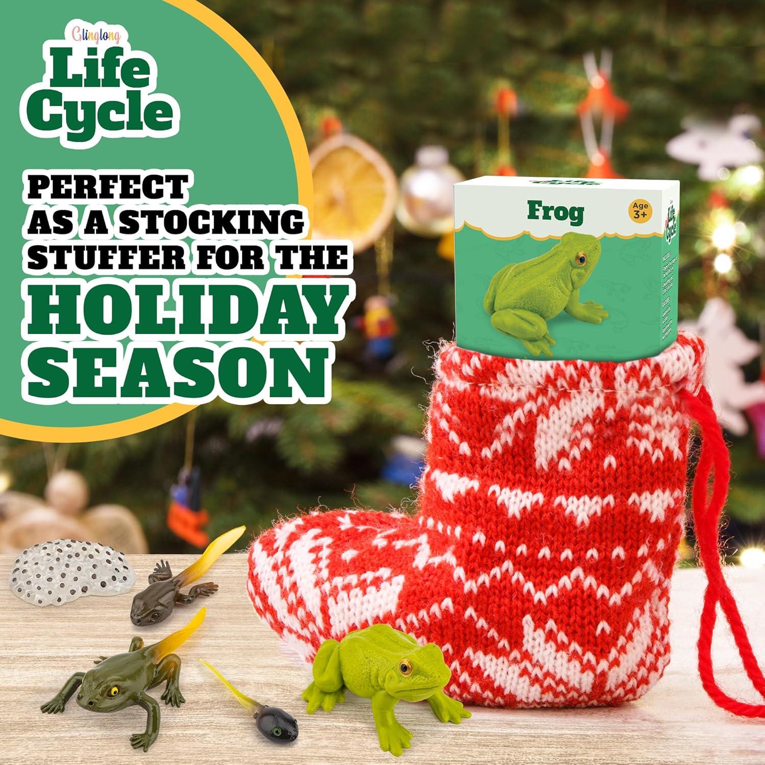 Kit Ciclo de Vida Montessori GLINGLONG - Animales 3D Educativos