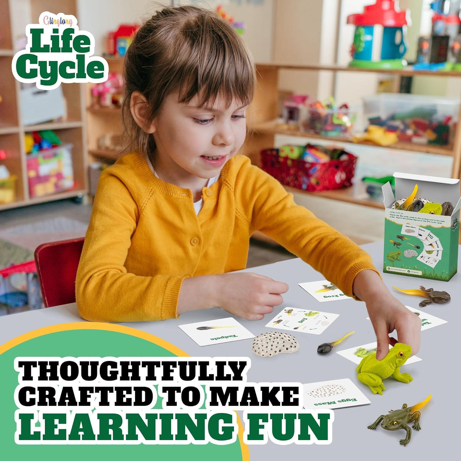 Kit Ciclo de Vida Montessori GLINGLONG - Animales 3D Educativos