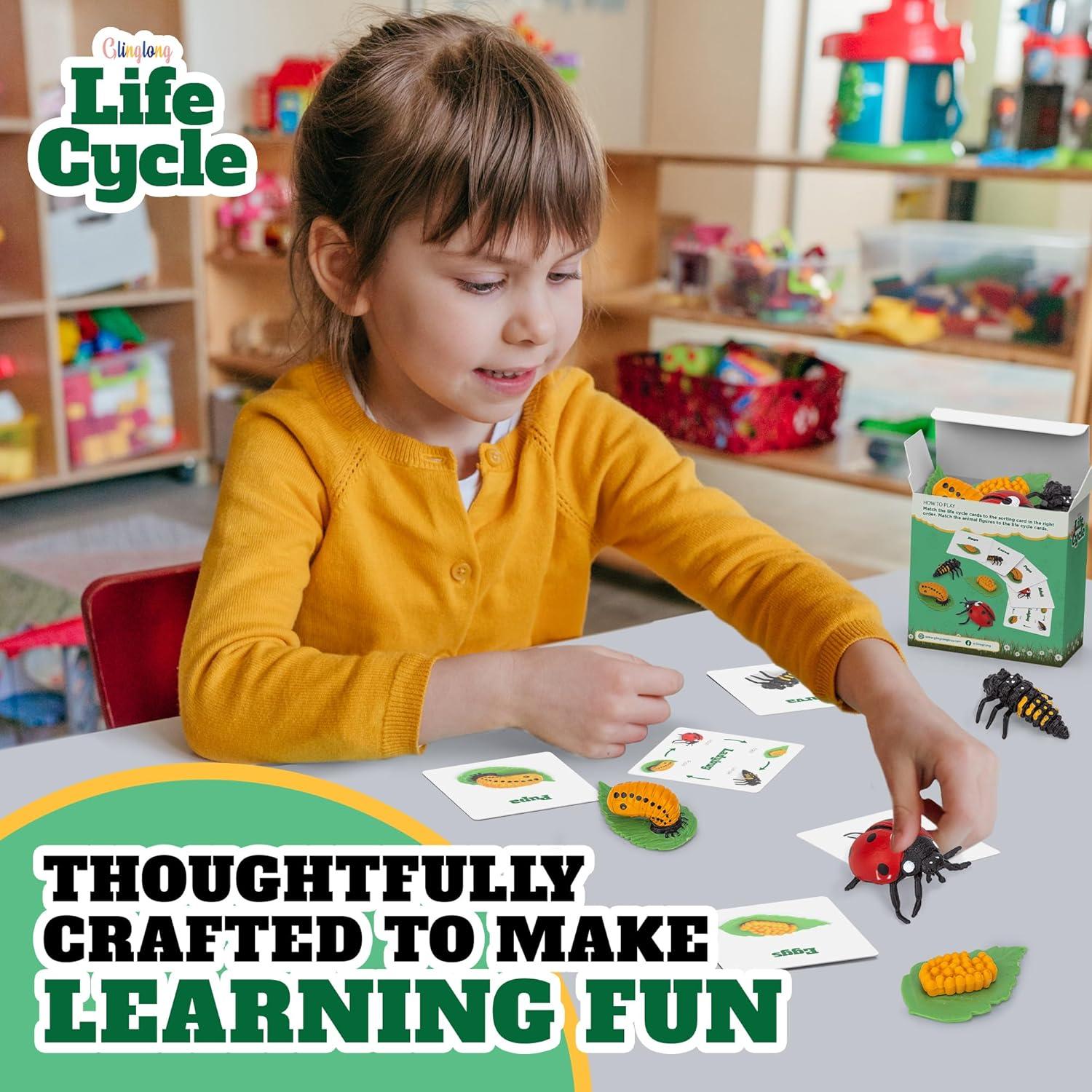 Kit Ciclo de Vida Montessori GLINGLONG - Juguete Educativo