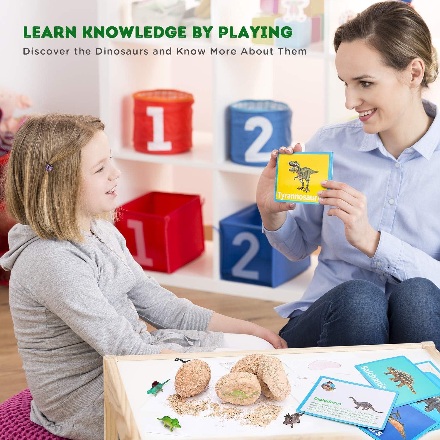 Kit de Excavación de Dinosaurios Toyk - 12 Huevos Únicos