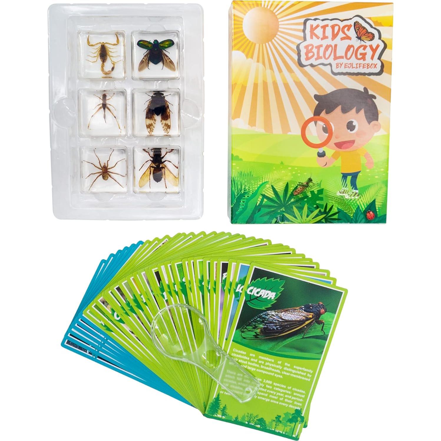 Juego de Especímenes de Insectos EJLIFEBOX con Lupa y Tarjetas