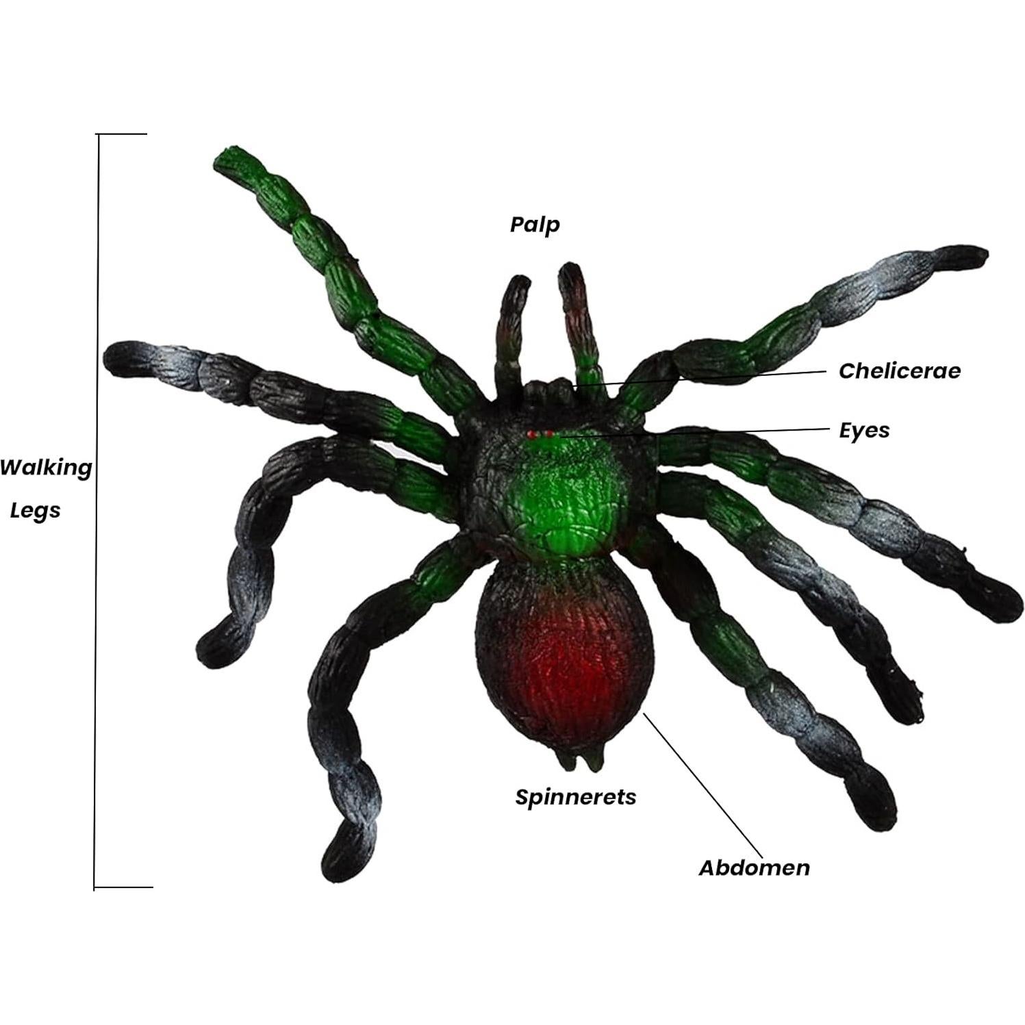 Juguete Araña Realista BOHS - Set Mamá y Crías - 4 Piezas