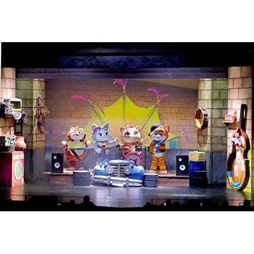 Micrófono Smoby 44 Gatos con Luces y Sonidos 249g