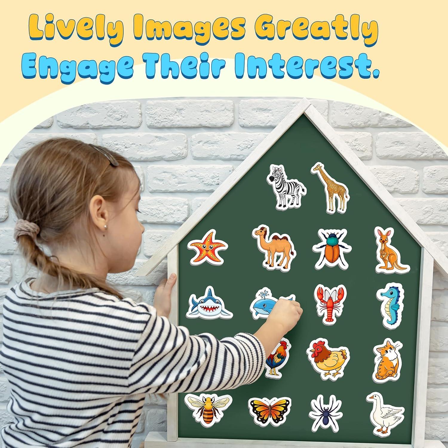 Imanes de Animales Magnéticos 50 PCS para Niños - Educativos