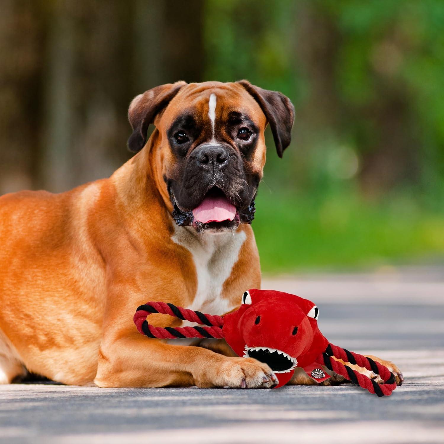 Juguete para Mascotas NBA Pets First Toronto Raptors 38 cm