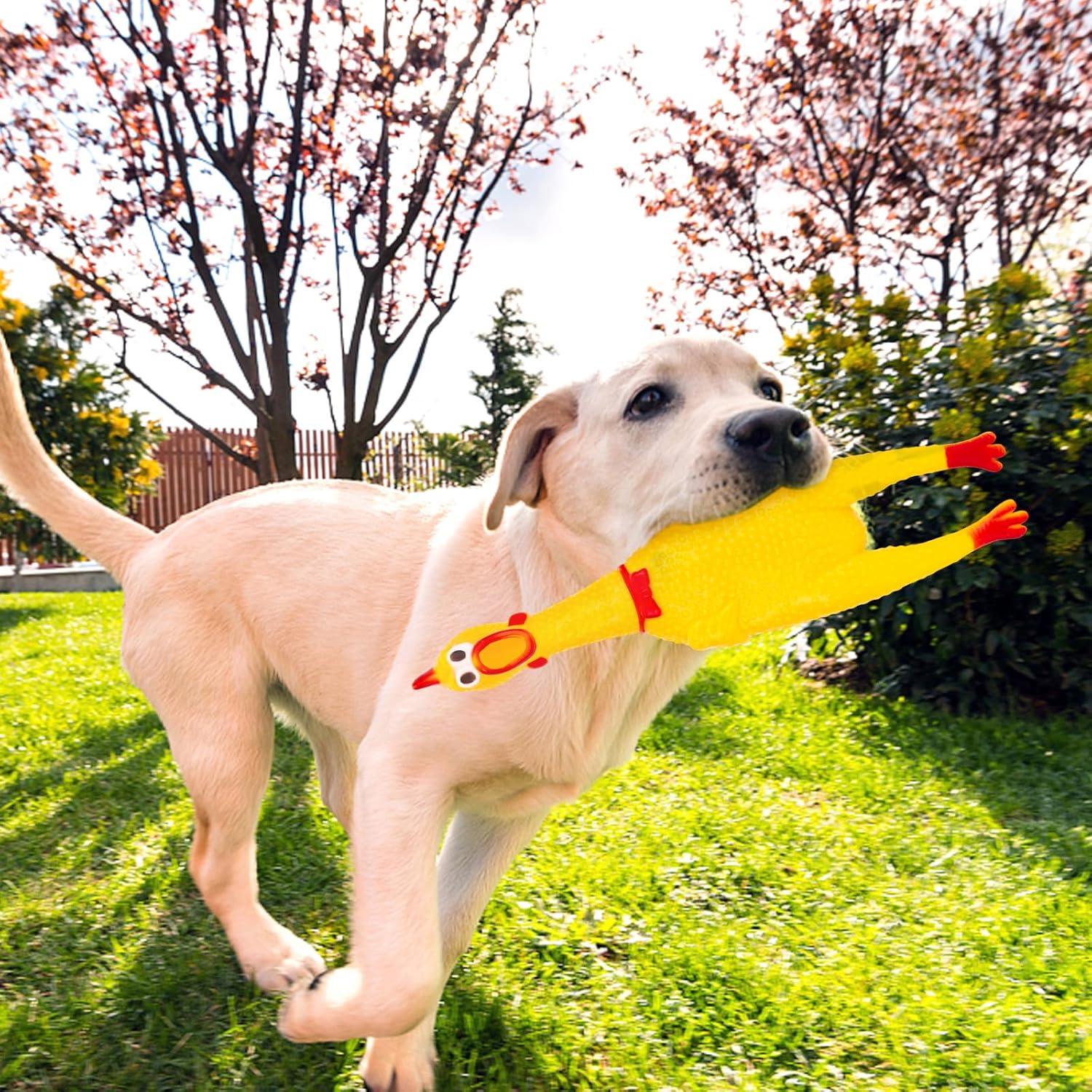 Juguetes de Pollo de Goma MCPINKY - 3 Piezas para Perros