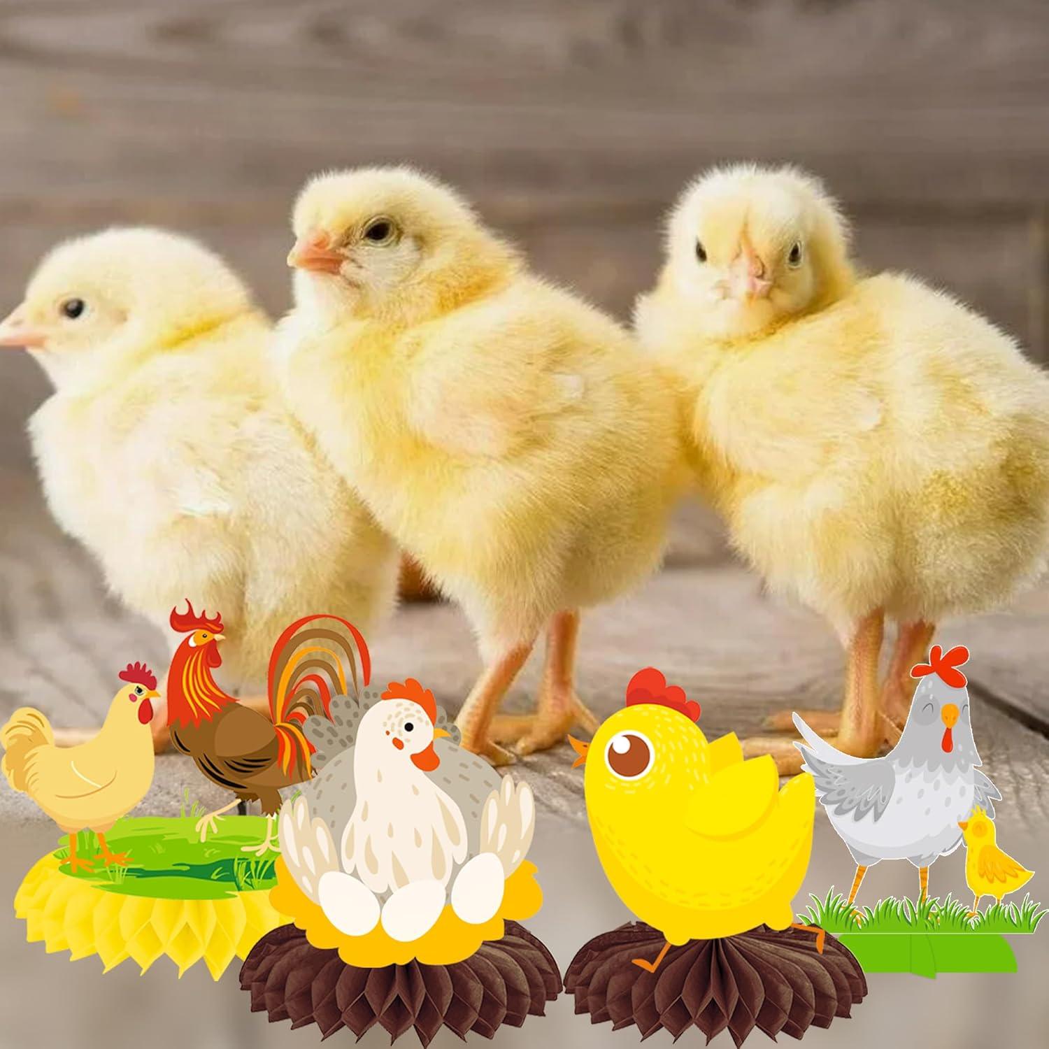 Centros de Mesa de Panal de Pollo 12 Pcs umoni para Fiestas