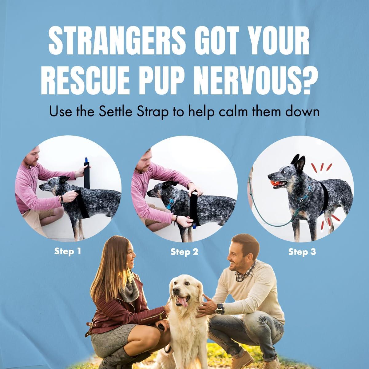 Correa Calmante para Perros TheraPet 101.6 cm Alivio Ansiedad