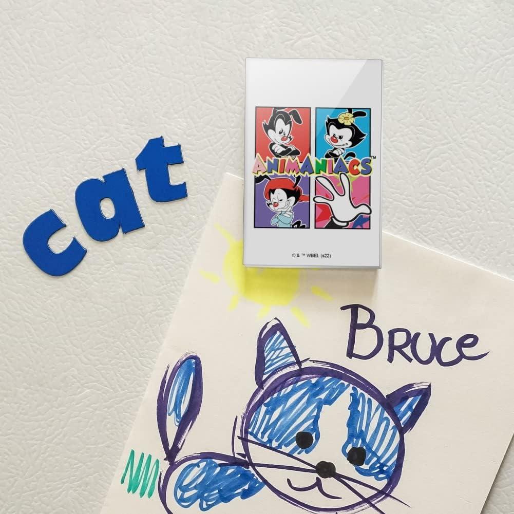 Imán Acrílico Rectangular Animaniacs 7.6x5.1cm Multicolor