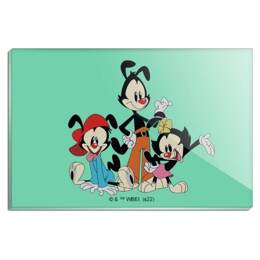 Imán Acrílico Rectangular Animaniacs 7.6x5.1cm - Graphics & More