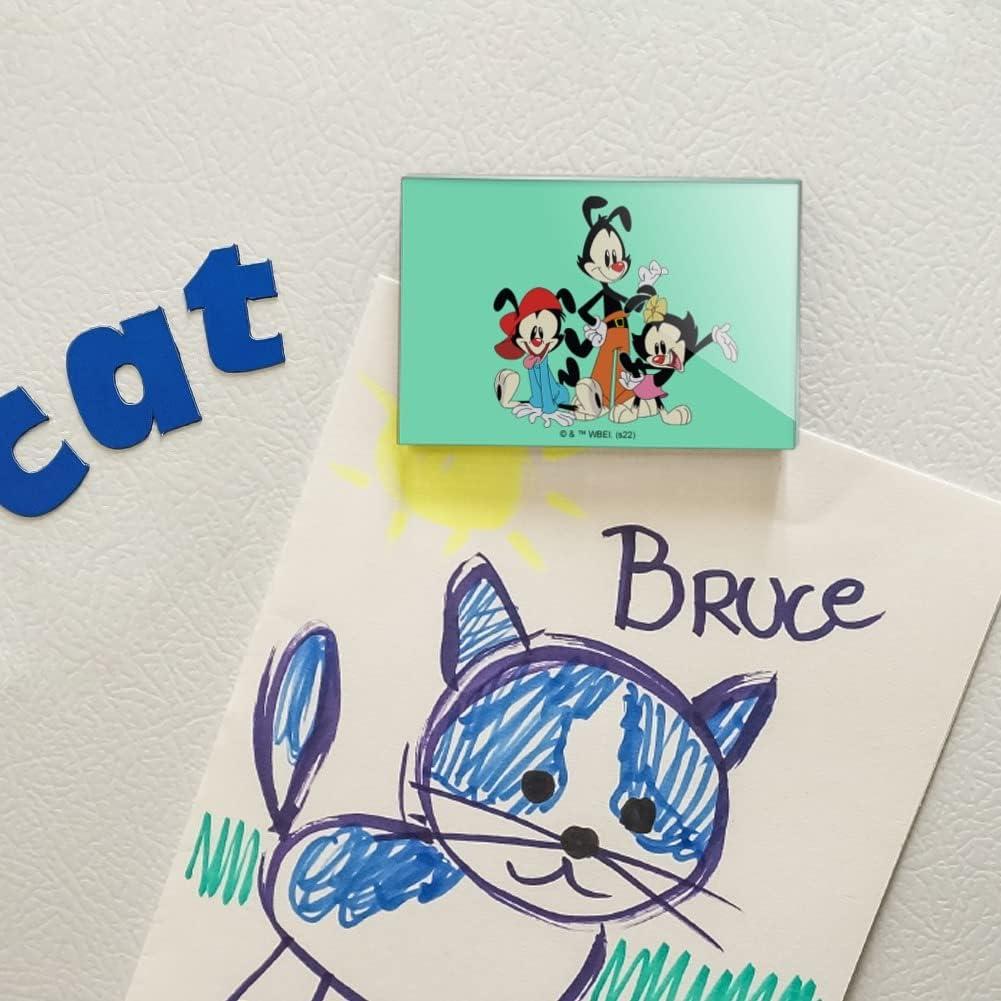 Imán Acrílico Rectangular Animaniacs 7.6x5.1cm - Graphics & More