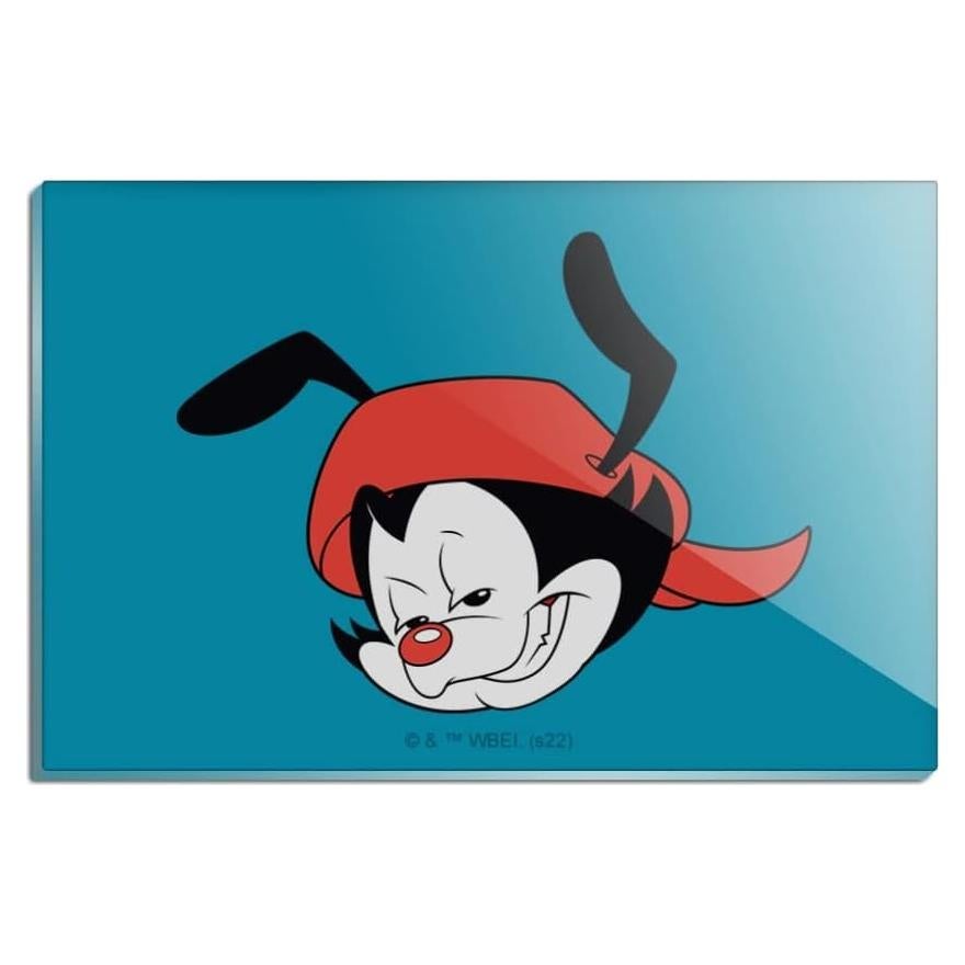 Imán Acrílico Rectangular Animaniacs 7.6x5.1cm - Graphics & More