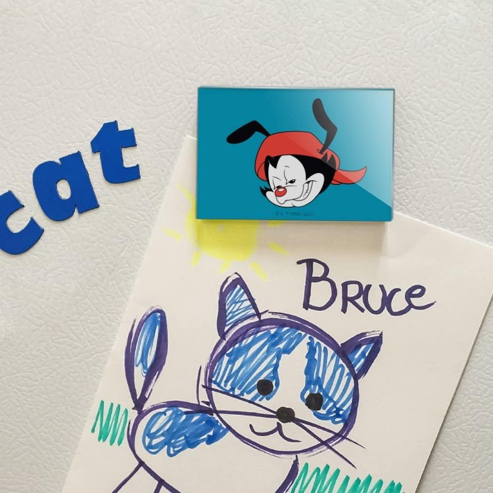 Imán Acrílico Rectangular Animaniacs 7.6x5.1cm - Graphics & More