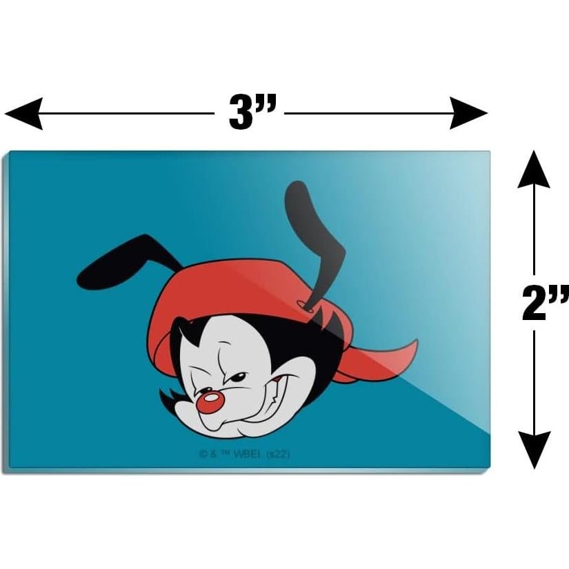 Imán Acrílico Rectangular Animaniacs 7.6x5.1cm - Graphics & More