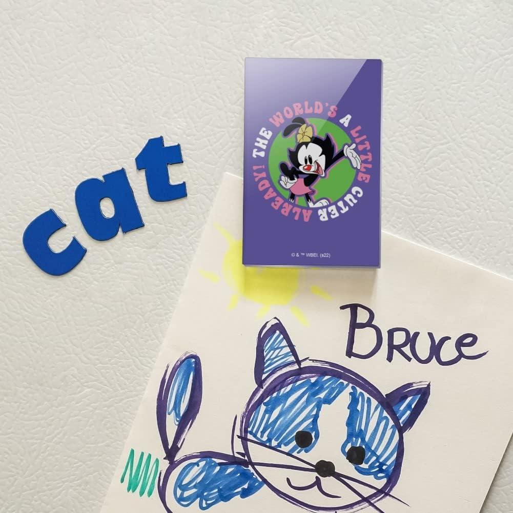 Imán Acrílico Rectangular Animaniacs 7.6x5.1cm Oficial