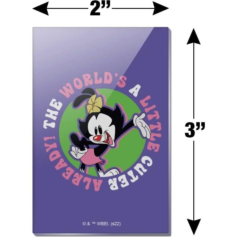 Imán Acrílico Rectangular Animaniacs 7.6x5.1cm Oficial
