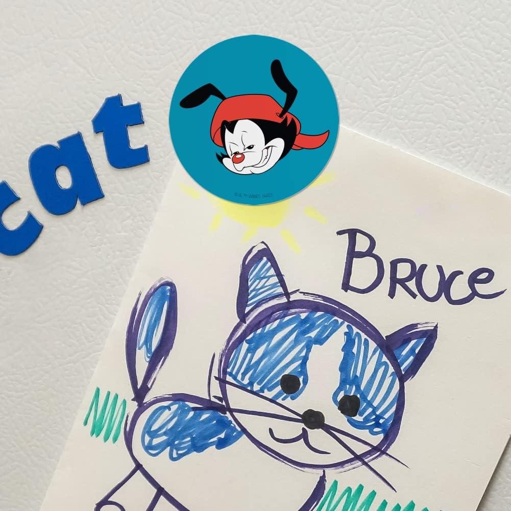 Conjunto de 4 Imanes de Vinilo Animaniacs - Graphics & More