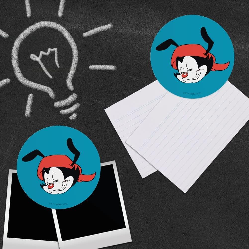 Conjunto de 4 Imanes de Vinilo Animaniacs - Graphics & More