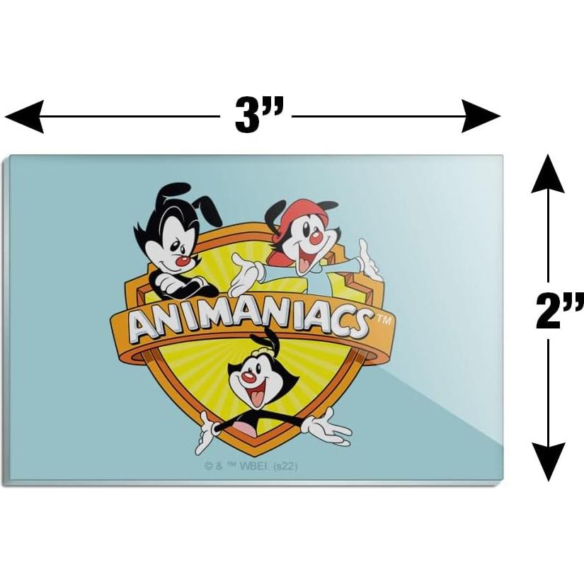 Imán Acrílico Rectangular Animaniacs 7.6x5.1cm - Graphics & More