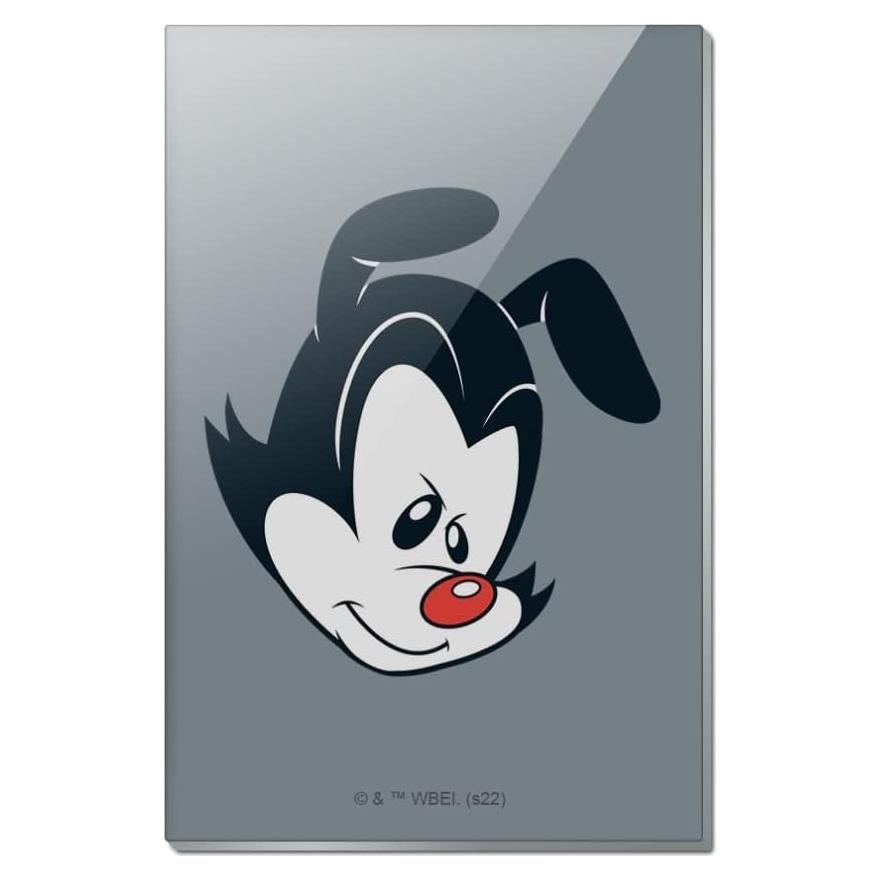 Imán de Refrigerador Rectangular Acrílico Animaniacs 7.6x5.1cm