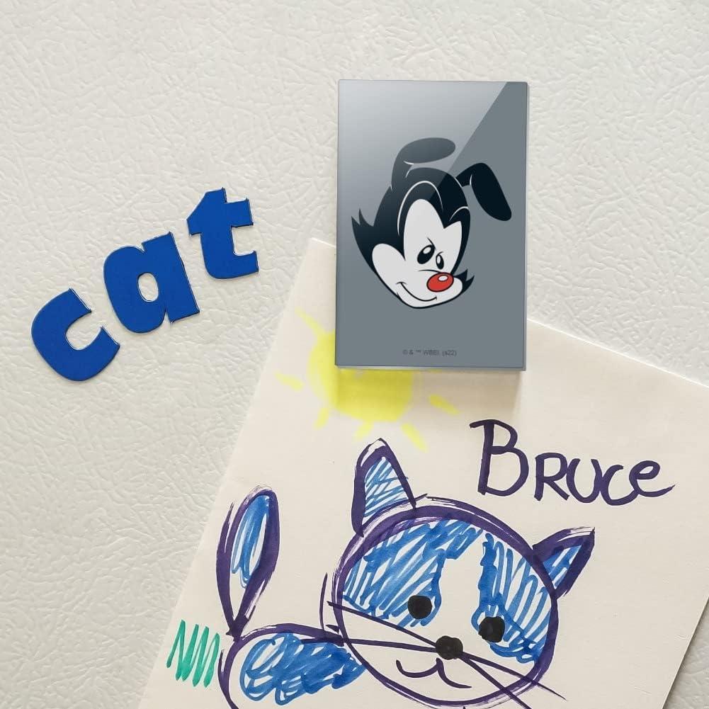 Imán de Refrigerador Rectangular Acrílico Animaniacs 7.6x5.1cm