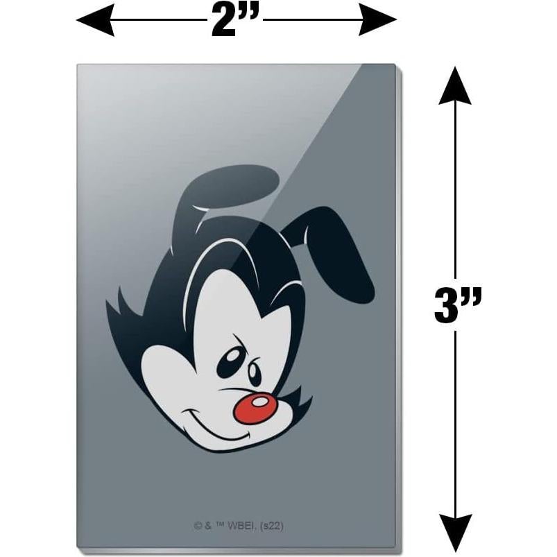 Imán de Refrigerador Rectangular Acrílico Animaniacs 7.6x5.1cm
