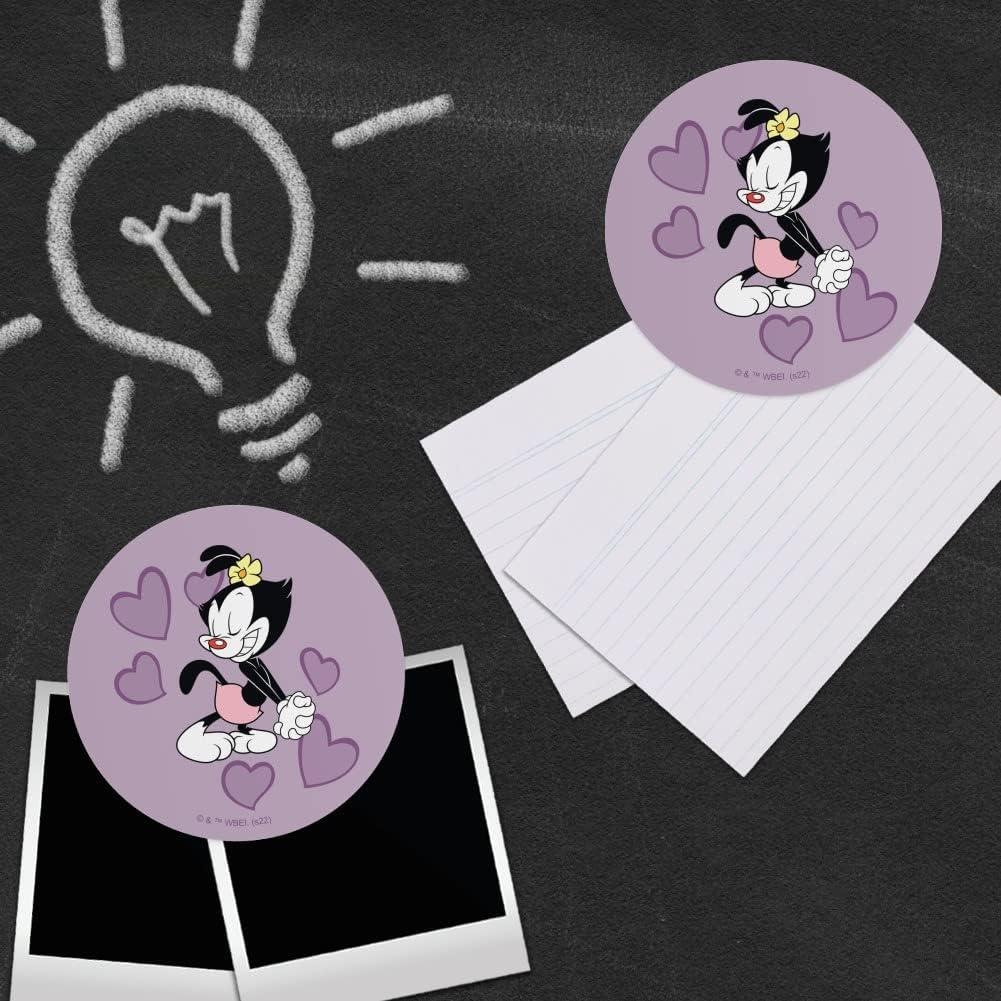 Conjunto de 4 Imanes de Vinilo Animaniacs - 6.4cm - Multicolor