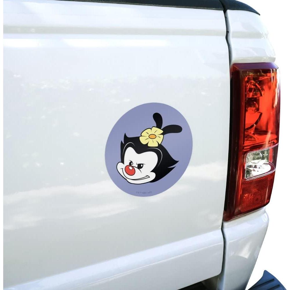 Calcomanía Animaniacs Graphics & More 14cm Vinilo Alta Calidad