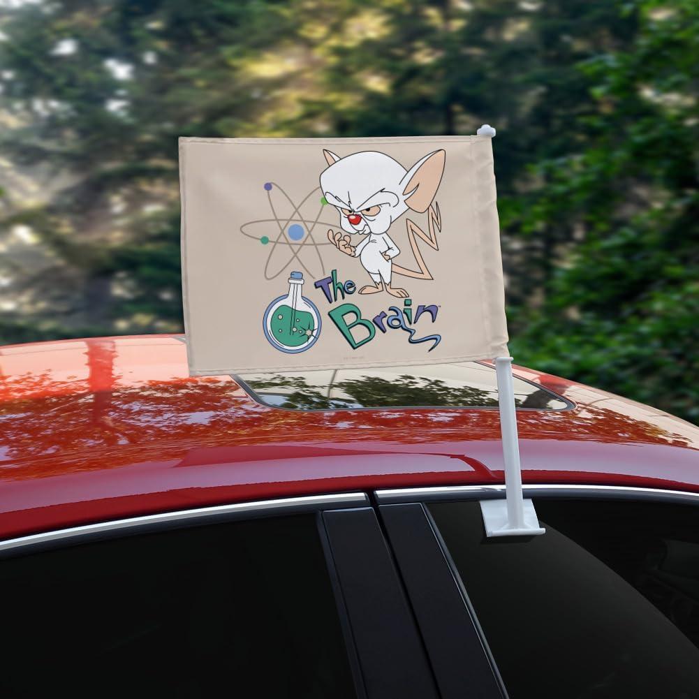 Bandera de Auto Pinky y El Cerebro con Poste 48cm