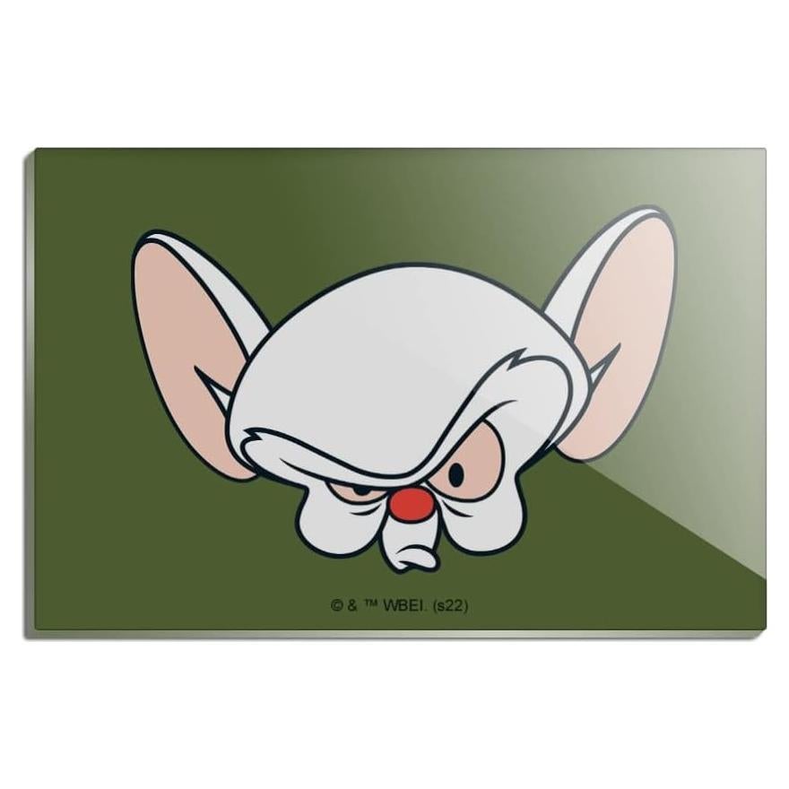 Imán Acrílico Rectangular Pinky y Cerebro 7.6x5.1cm