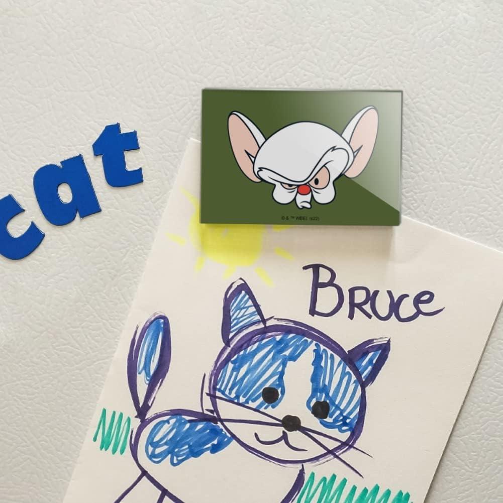 Imán Acrílico Rectangular Pinky y Cerebro 7.6x5.1cm