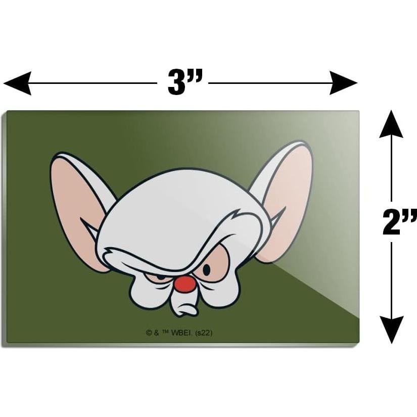 Imán Acrílico Rectangular Pinky y Cerebro 7.6x5.1cm