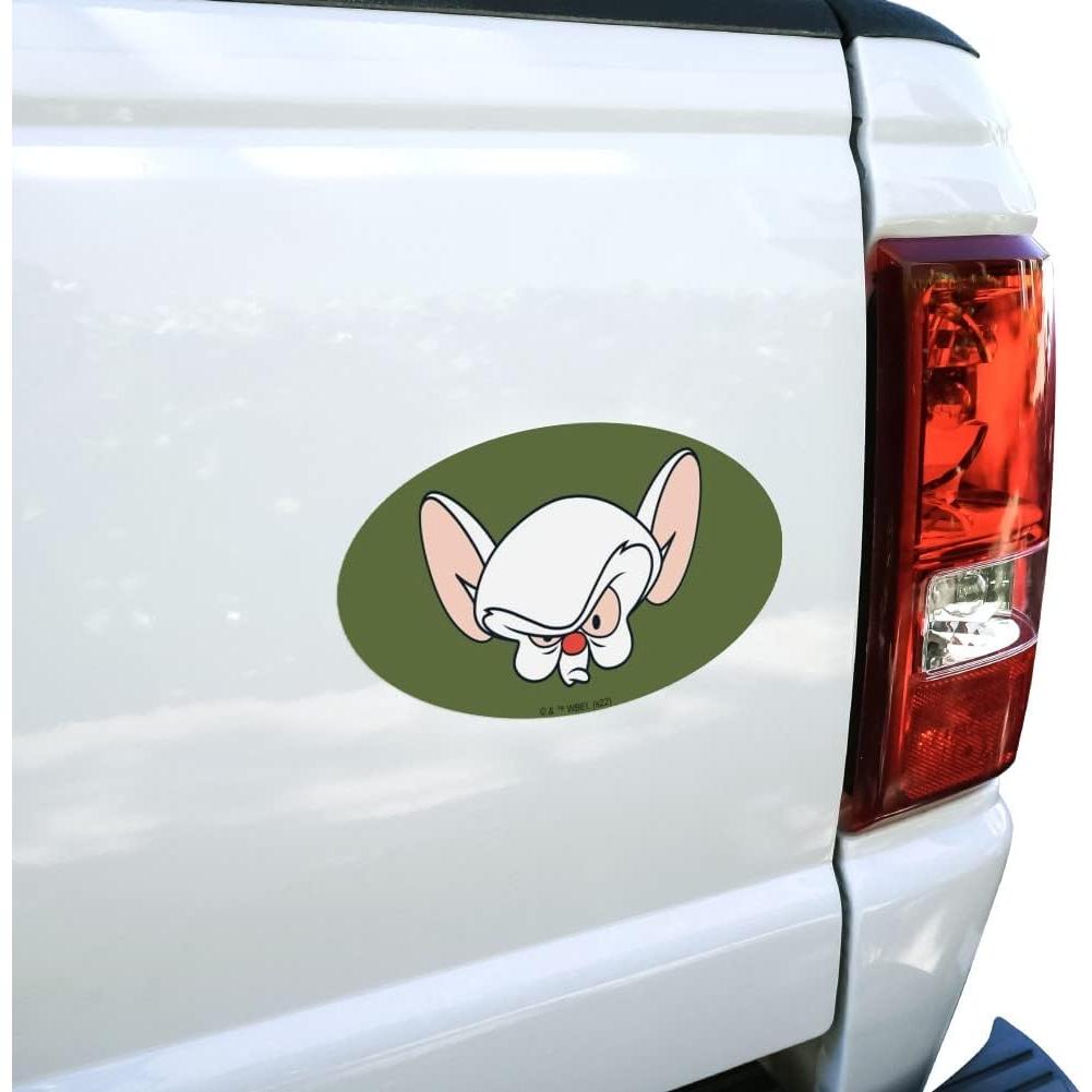 Imán Ovalado Pinky y El Cerebro - Graphics & More - 17.8x10.2cm